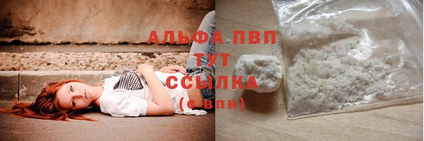 ешки Богданович