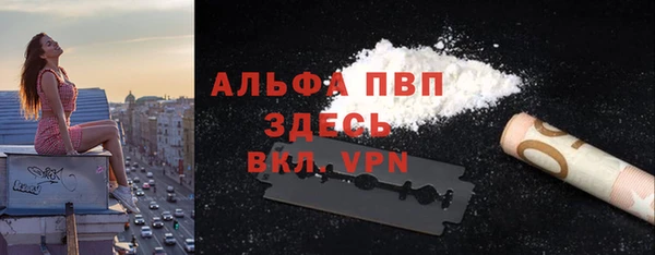 ешки Богданович