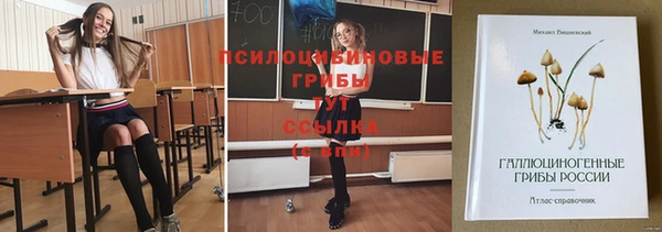 герыч Богородск