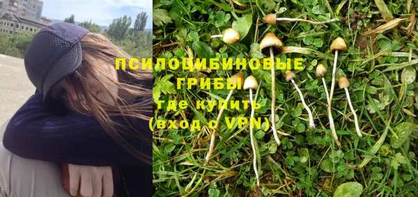 гашишное масло Богородицк