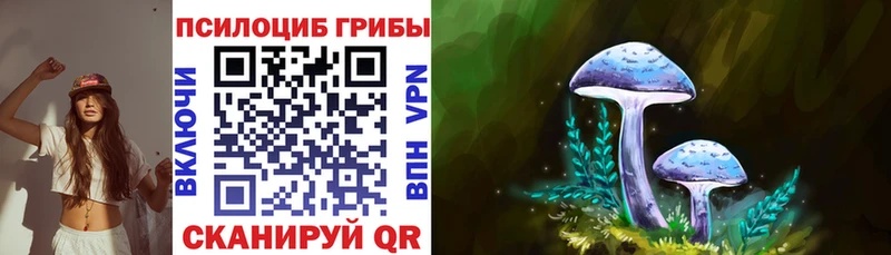 Псилоцибиновые грибы Magic Shrooms  купить   Красавино 