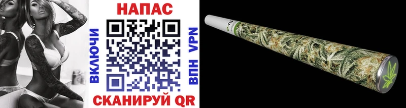 Бошки марихуана сатива  где купить наркоту  Красавино 